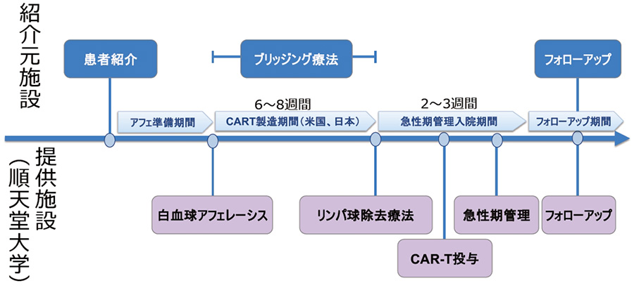 CAR-T療法の治療プロセス