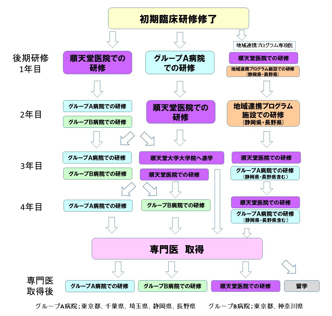 眼科基本研修プラン20250903