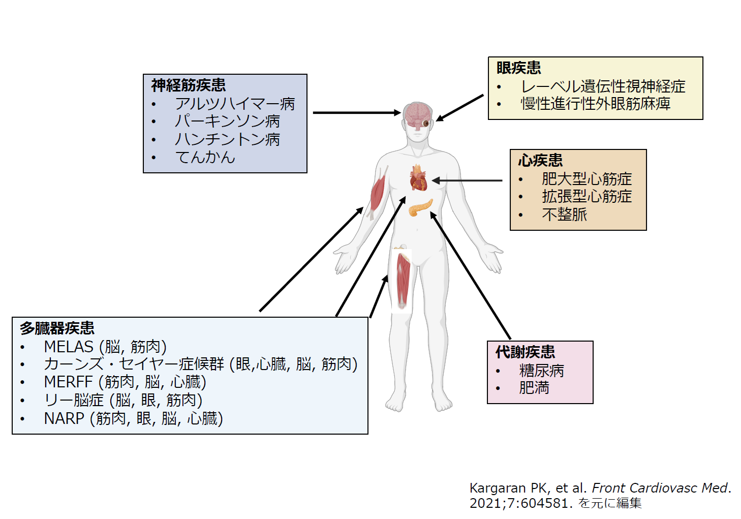 pressrelease_251119_02