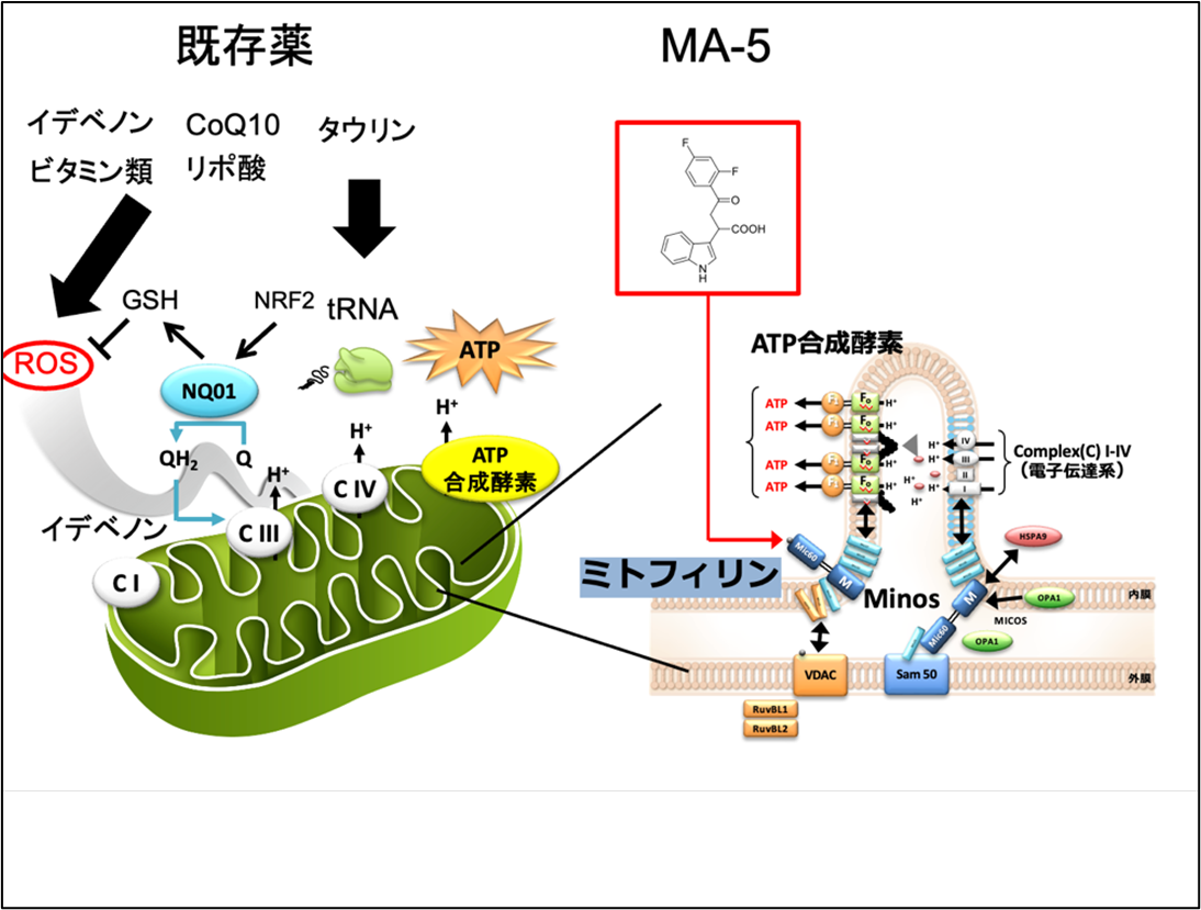 pressrelease_251119_04