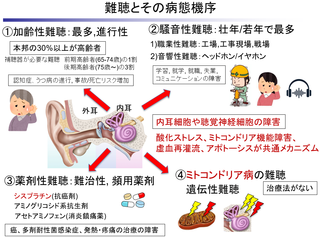 pressrelease_251119_03