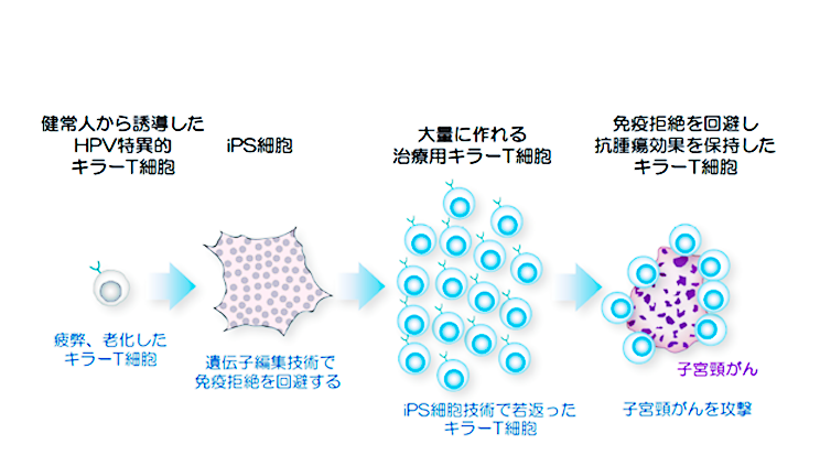 topic_junten_251218_s